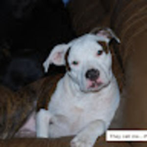 Meet your Posher, Kenneth